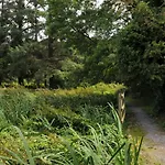 Campo de lujo Glamping At The Grove, And 4*
