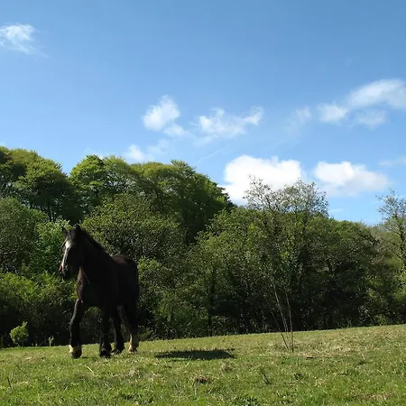 Glamping At The Grove, And Lyxtält Cill Airne