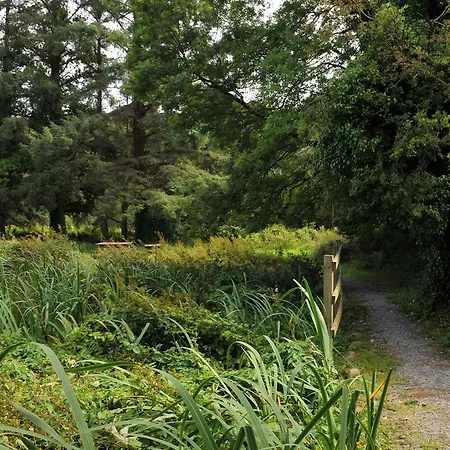 Luxury tent Killarney Glamping At The Grove, Suites And Lodges 2*