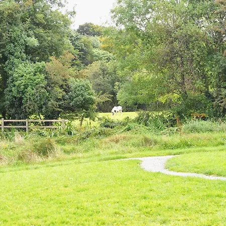 Glamping At The Grove, And