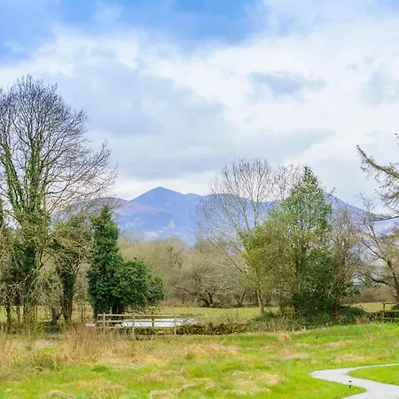 Glamping At The Grove, And Lyxtält Cill Airne