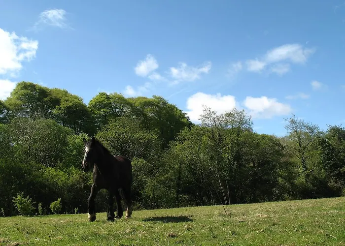 Glamping At The Grove, And אוהל מפואר קיל איירן
