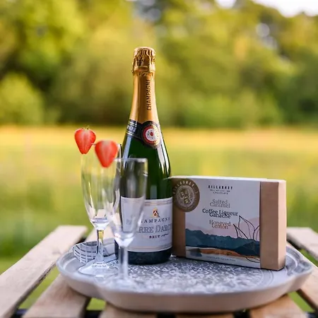 Glamping At The Grove, And 럭셔리텐트 킬라니