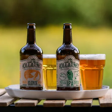 خيمة فخمة Glamping At The Grove, And كيلارني