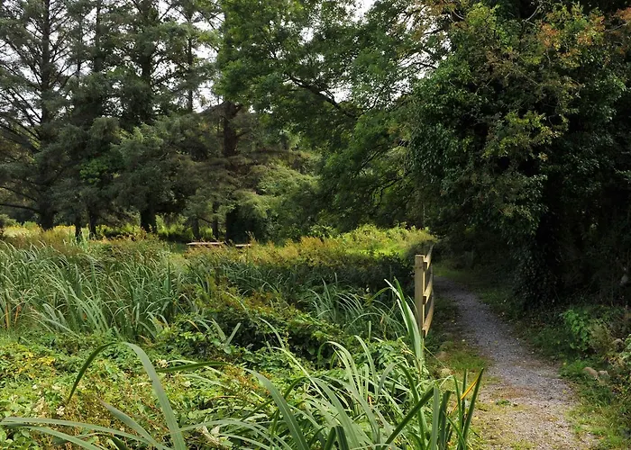 豪华帐篷 Glamping At The Grove, And 4*